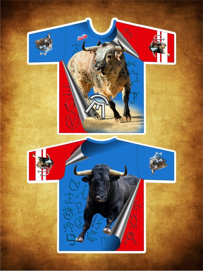 Camiseta deportiva hierros 19 OFERTAS Inicio CAMISETA