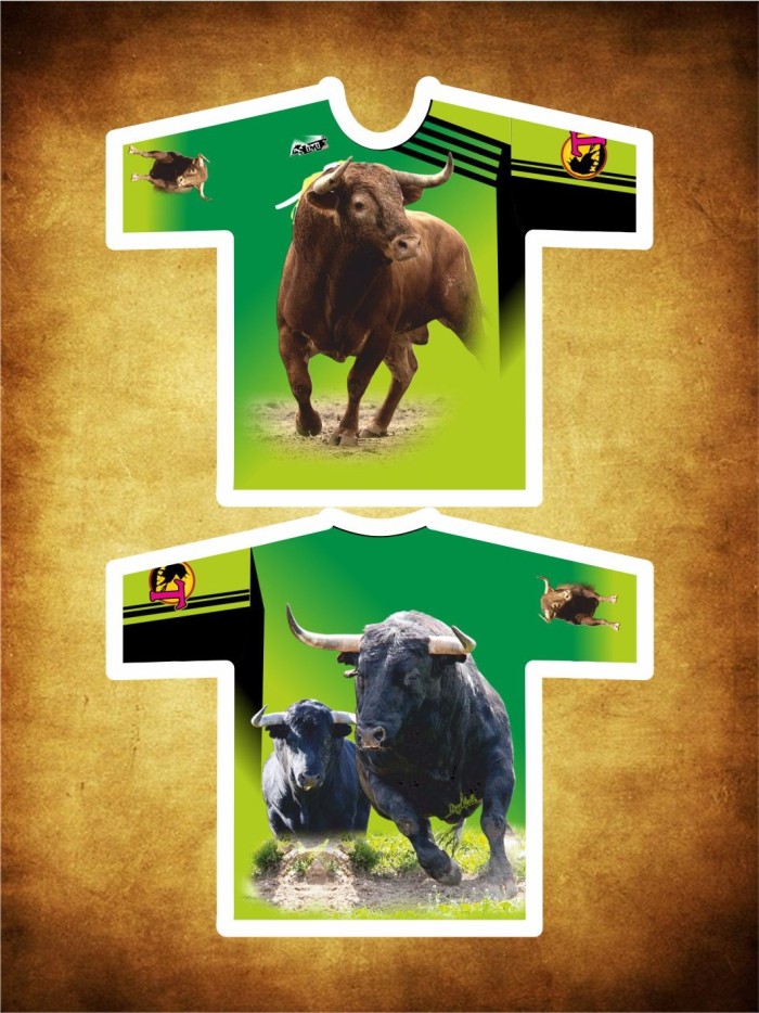 Camiseta deportiva verde 20 OFERTAS Inicio CAMISETA