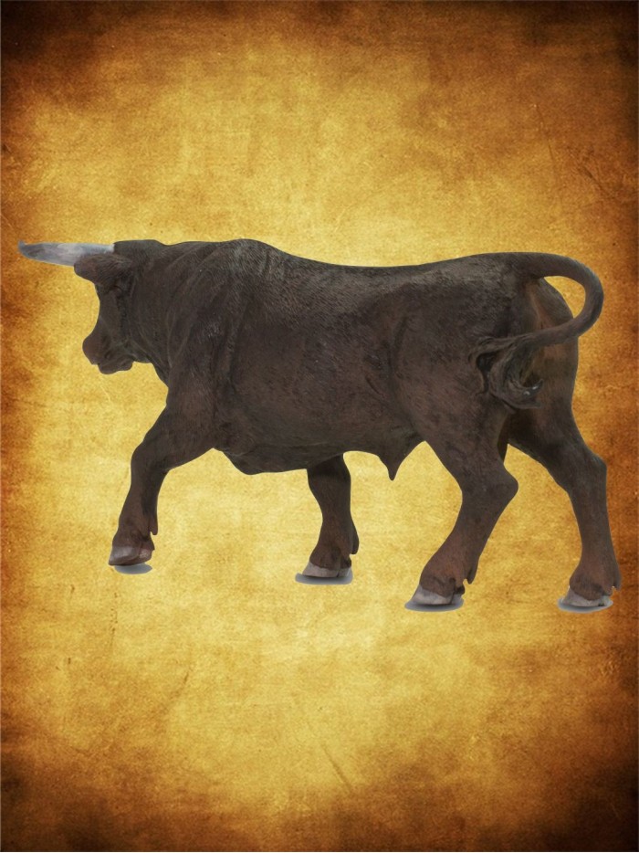 Toro bravo Pajarito Figuras de resina Especial niños y