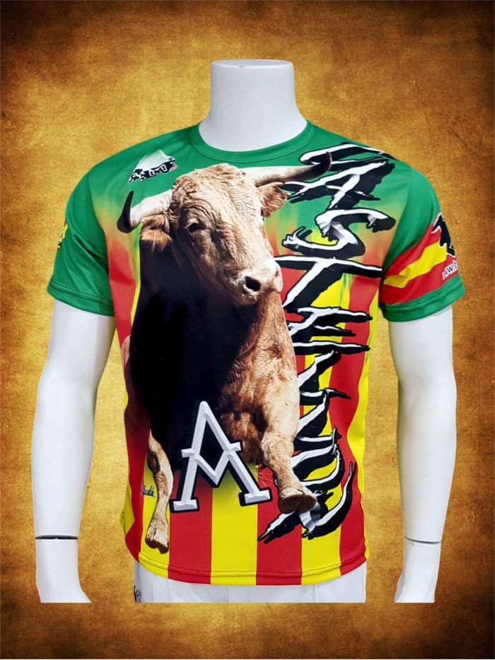 CAMISETA CASTELLON 18 OFERTAS Inicio 