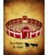 Plaza de toros de embolar Especial niños y maquetas. Inicio