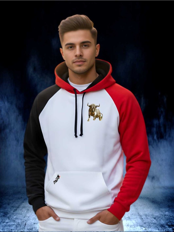 SUDADERA TRICOLOR CAPUCHA Sudaderas Ropa La sudadera está