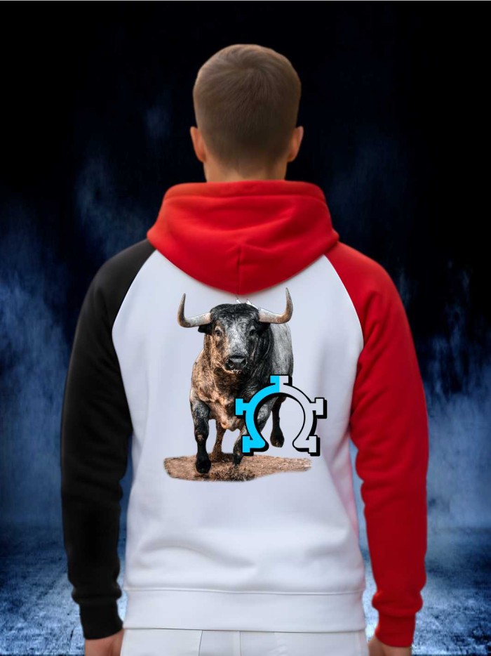 SUDADERA TRICOLOR CAPUCHA Sudaderas Ropa La sudadera está