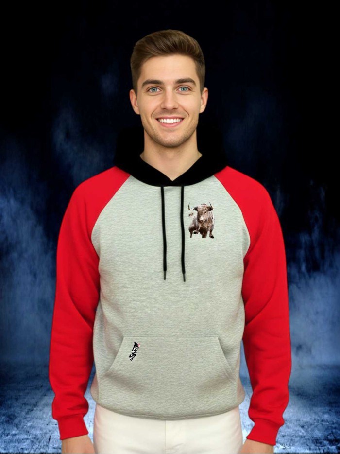 SUDADERA GRIS/ROJO/NEGRO CAPUCHA Sudaderas Ropa Sudadera