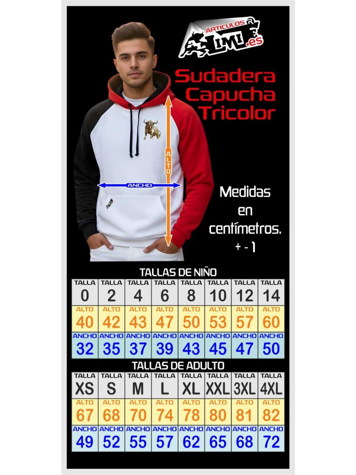SUDADERA TRICOLOR CAPUCHA Sudaderas Ropa La sudadera está