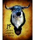 Cabeza de toro bravo Cafetero Cabezas de toros disecadas Inicio