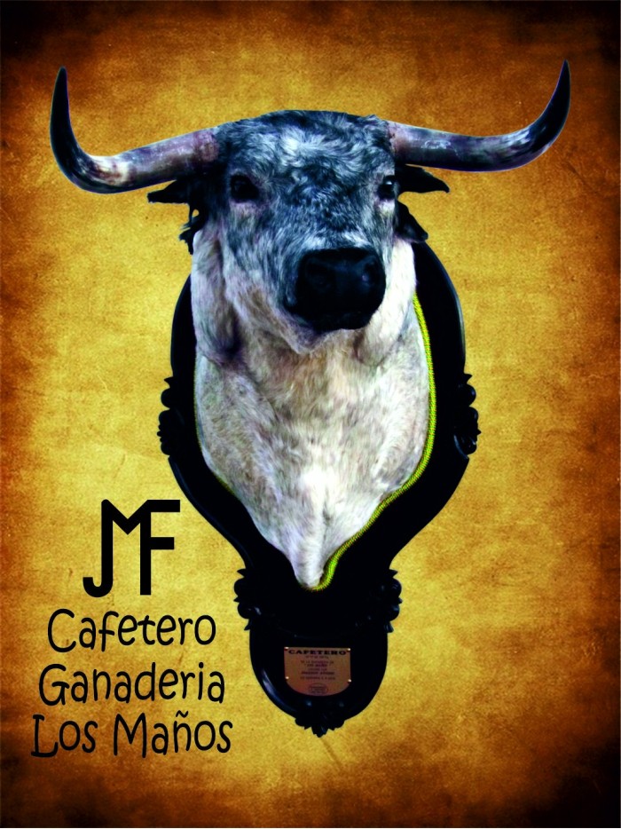 Cabeza de toro bravo Cafetero Cabezas de toros disecadas Inicio