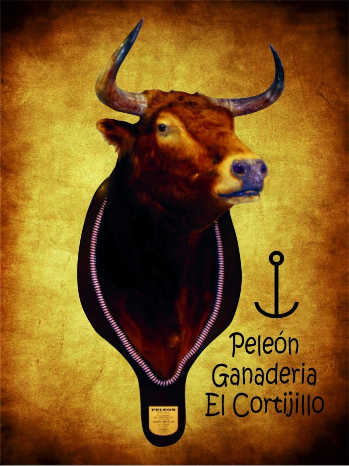 Cabeza de toro bravo Peleón Cabezas de toros disecadas Inicio