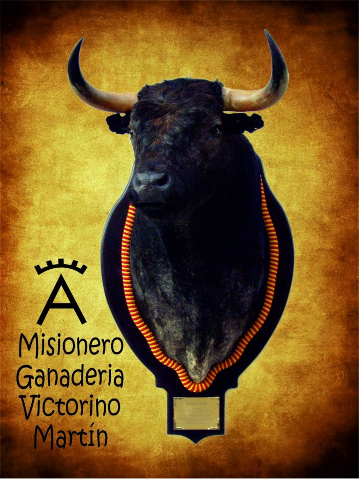 Cabeza de toro bravo Misionero Cabezas de toros disecadas